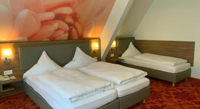 Трёхместный номер Standard Hotel Felsenkeller
