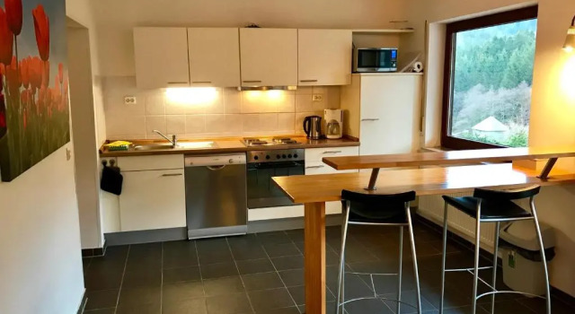 Апартаменты с 2 комнатами Ferienwohnungen Willingen Wald