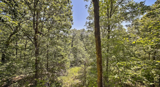 Secluded Studio 1 mi to Thorncrown Chapel, Забронировать Дом для отпуска Виллы Northwest Arkansas, Вилла