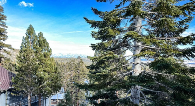 Номер Standard с 2 комнатами Mammoth Point #106 2 Bedroom Condo by RedAwning