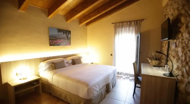 Номер Premium Hotel Can Panyella