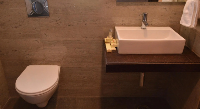 Номер Deluxe Hotel Silver Pride
