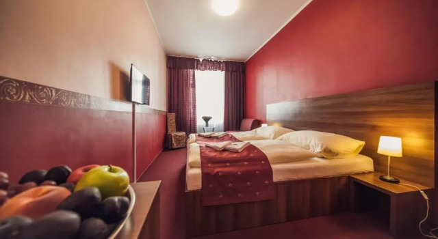 Standard Doppel Zimmer Hotel Czechia