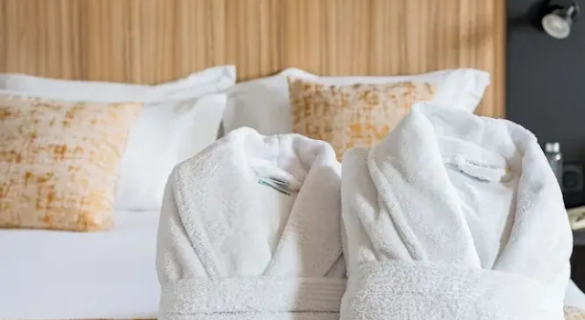 Двухместный люкс Business Appart hôtel Q7 Lodge Lyon 7