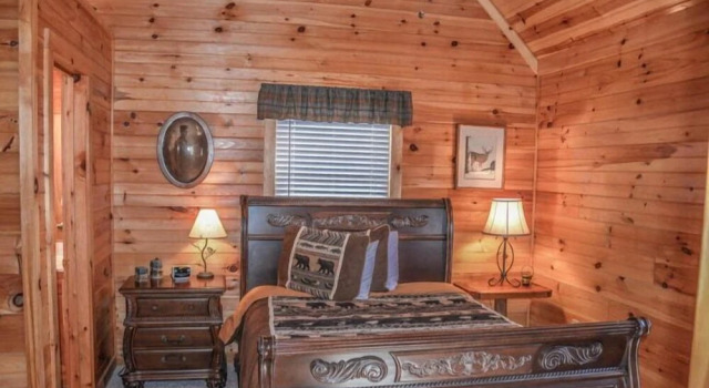 Mountain Rivers Lodge, Rezerwuj Dom wakacyjny Mineral Bluff Georgia