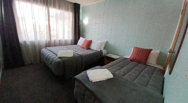 Апартаменты Economy Parkview Motel