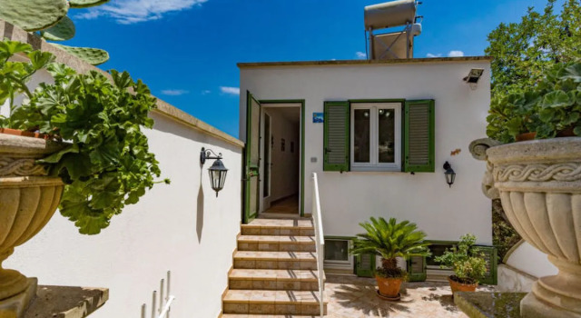 Sun & Sea terrace 28978