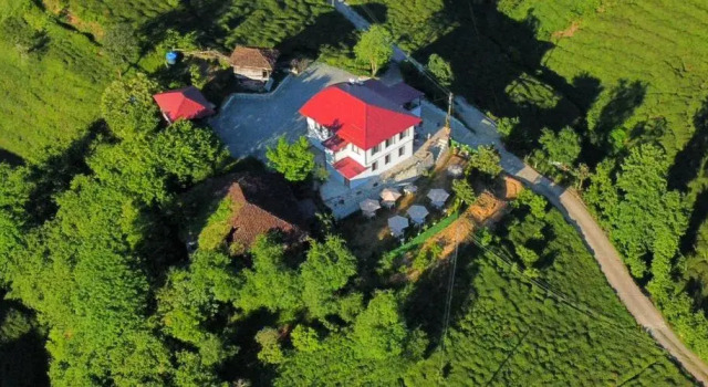 Rino Hauss, Rezervovat Rekreační dům Findikli Black Sea Region Turkey