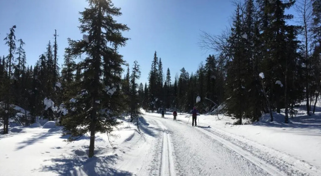 Коттедж Kelomaja Ylläs