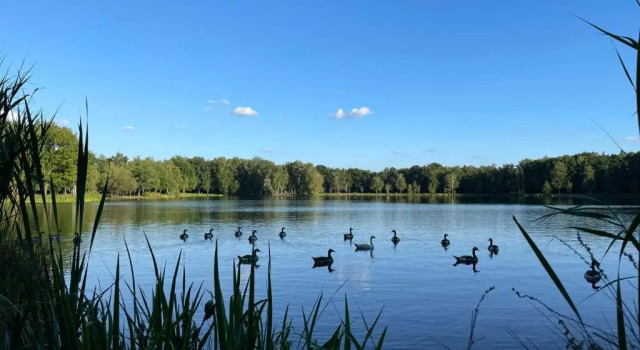 Mimi's natuurhuisje, Prenota Hotel Hotel a Flanders con parcheggio, Parcheggio