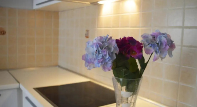 Apartament 2 camere cu balcon Antigona Apartments