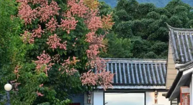 Dali Buru Garden Homestay (Ancient City South Gate), Prenota Hotel Hotel a Dali con parcheggio, Parcheggio