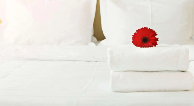Двухместный номер Standard Quality Inn & Suites Caribou