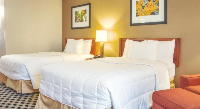 Четырёхместный номер Standard MCM Eleganté Hotel & Conference Center
