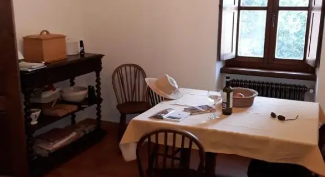 Laporcilaia