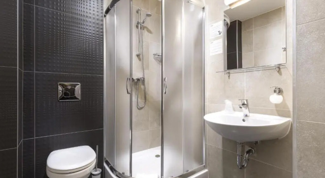 Трёхместный номер Standard Hotel Picaro Żarska Wieś Południe