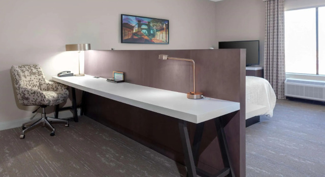 Двухместный номер Premium Hilton Garden Inn Waco