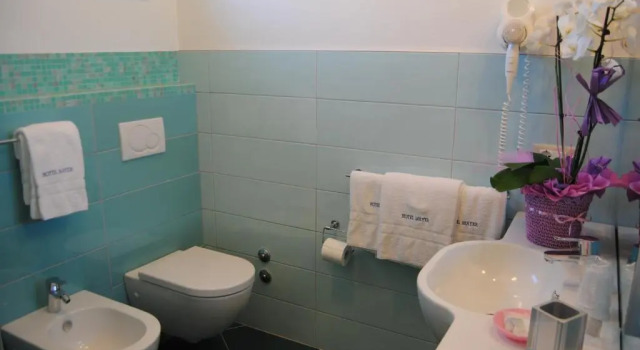 Номер Standard Hotel Mayer