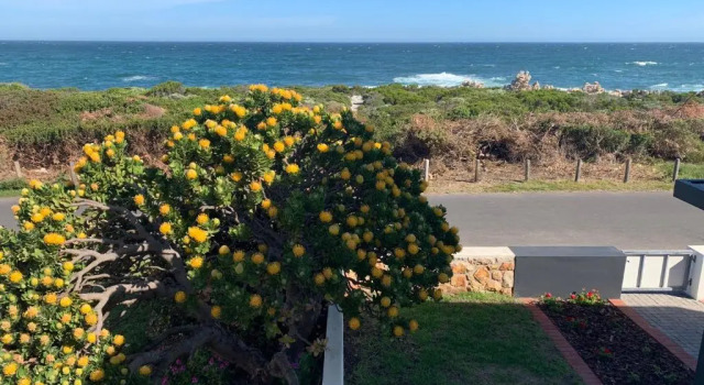 Бунгало Bungalow by the sea near Cape Town