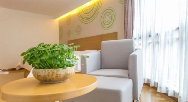 Люкс Greentree Inn