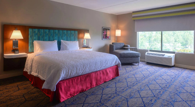 Двухместный номер Standard Hampton Inn & Suites Atlanta-Six Flags