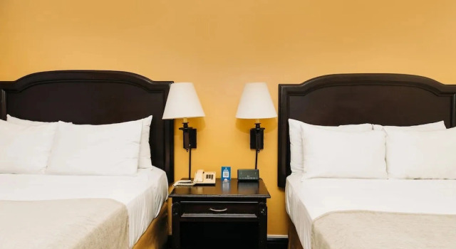 Четырёхместный люкс Standard Plaza Hotel and Suites
