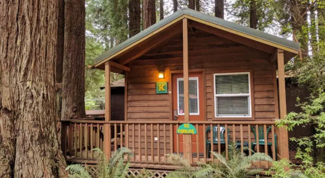 Двухместный номер Standard Emerald Forest Cabins