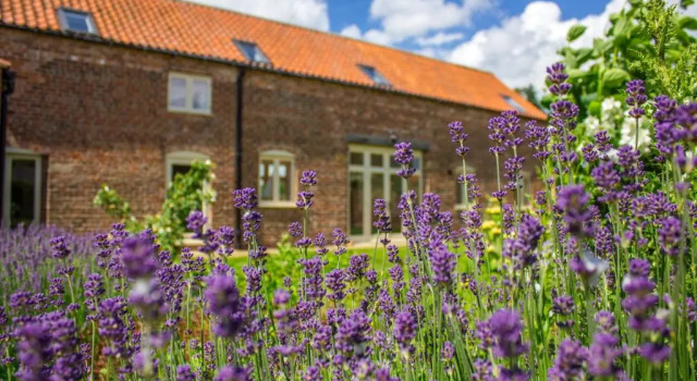 Shakespeare Cottage, Prenota Casa vacanze Thoresby Inghilterra