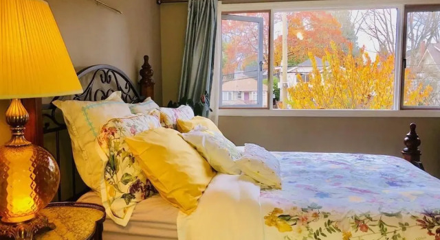 The Sunshine House