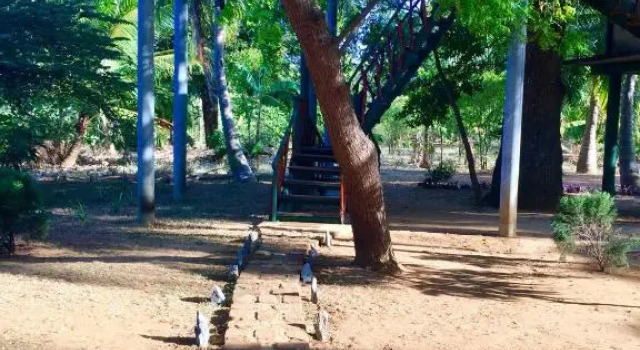 Yala Eco Tree House