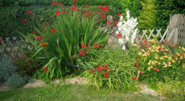 Люкс Les Terrasses