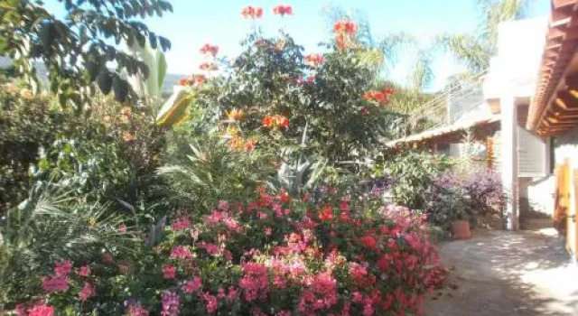 Finca las Palmeras, Book Hotel Hotels in Tenerife with Parking, Parking