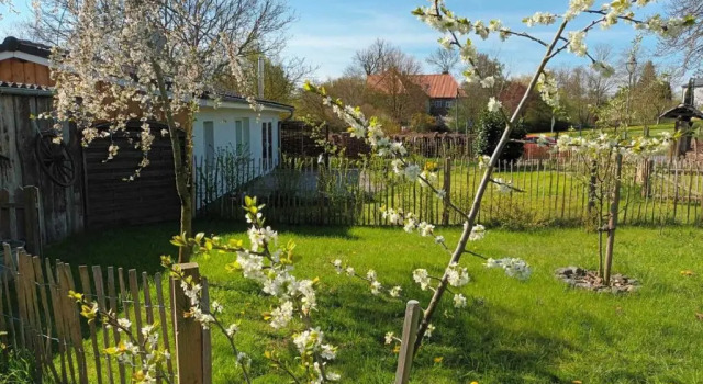 Бунгало c 1 комнатой Apfelhof