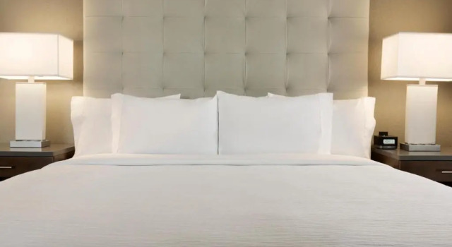 Двухместный люкс c 1 комнатой Embassy Suites by Hilton Greenville Downtown Riverplace