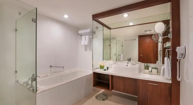 Deluxe Junior-sviitti Discovery Suites