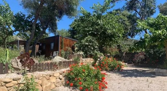 Номер Standard с 3 комнатами Location du Ranch Cantarettu