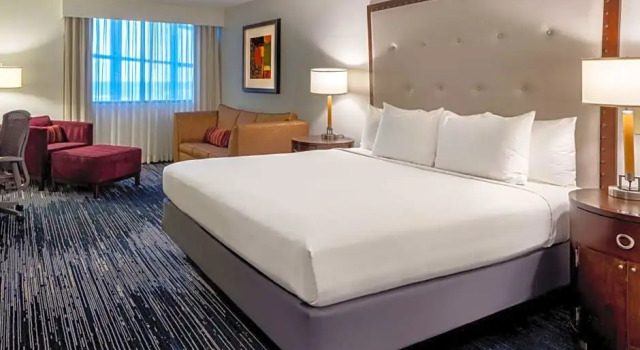 Двухместный номер с диваном Deluxe Sonesta Hotel Houston IAH Airport