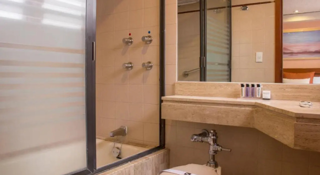 Двухместный номер Standard Hotel Marlowe Centro Histórico