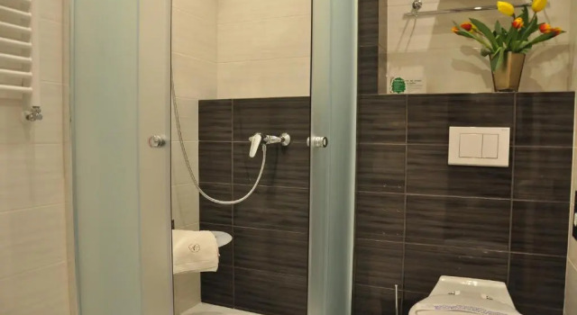 Номер Standard Hotel Atrium