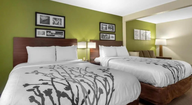 Четырёхместный люкс Sleep Inn & Suites Allendale