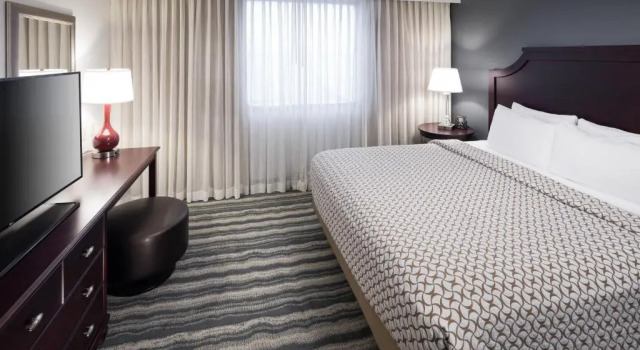 Номер Standard Embassy Suites by Hilton Tampa Brandon