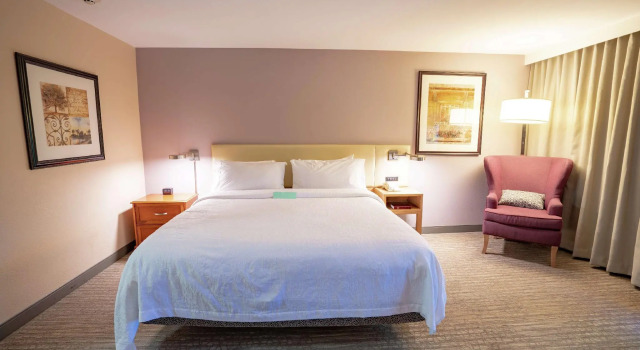 Двухместный номер Standard Hilton Garden Inn Seattle/Renton