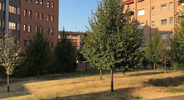 Dossetti 3