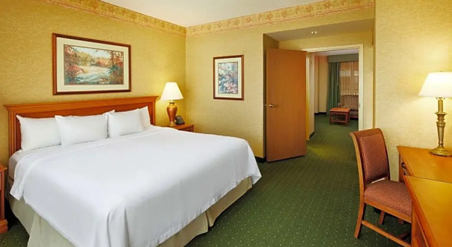 Люкс c 1 комнатой Embassy Suites by Hilton Charleston Airport Convention Ctr