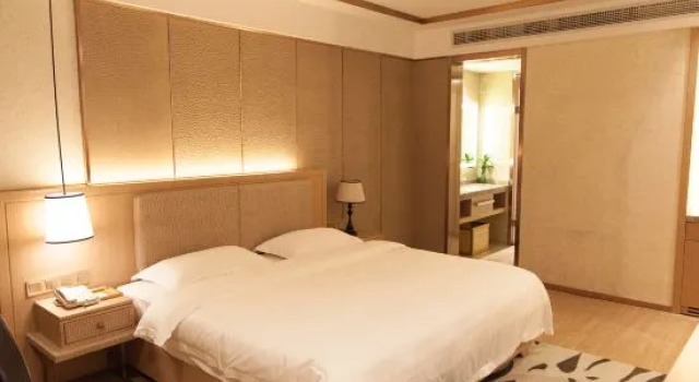Люкс Deluxe Puhe Hotel (Bozhou Wanda Plaza Bozhou Baolong Plaza)