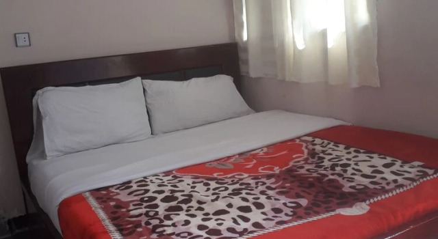 Addis Guest House And Pension