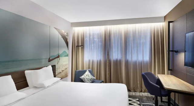 Двухместный номер Superior Novotel Sao Paulo Morumbi