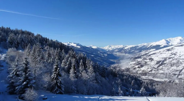 Appartement Les Arcs 1600, 2 pièces, 6 personnes - FR-1-411-183