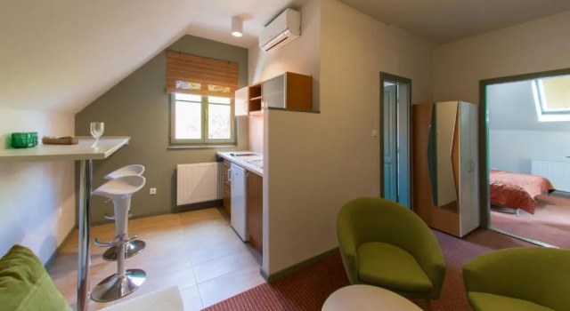 Апартаменты Deluxe Villa Oliva Boutique Rooms Zamárdi