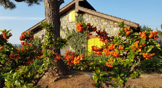 Casa Lavanda